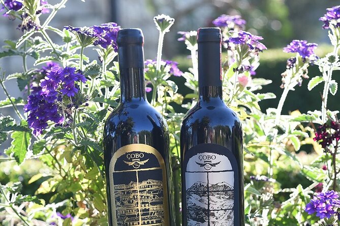 West Illyria Route” Albania Wine Tour - Tour Logistics