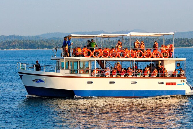 Whale Watching Boat Tour From Galle - Meeting and Pickup