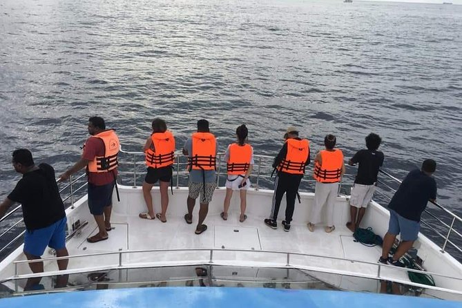Whale Watching Cruise From Unawatuna - Start Time and Additional Details
