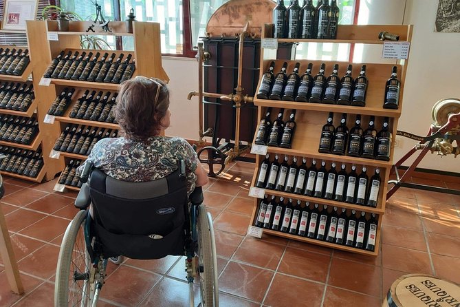 Wheelchair Handicap Cabo Girão Half Day Tour - Accessibility Information