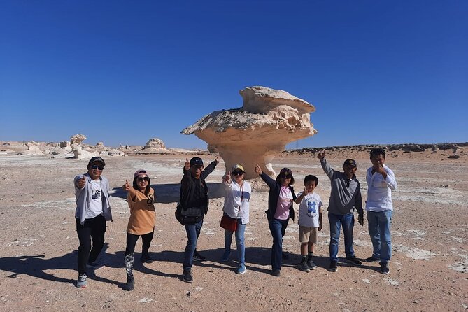 White Desert , Black Desert and Camping