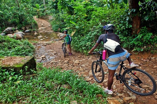 White Water Rafting in Kitulgala From Negombo - Pickup Details