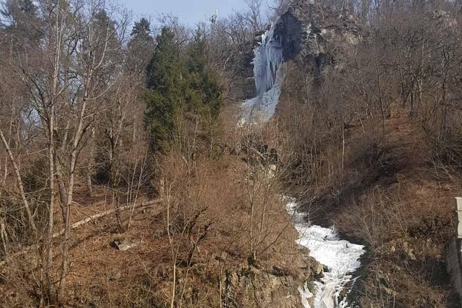 White Winter Georgia Tour (Bakuriani, Snow Fun, Borjomi) - Inclusions