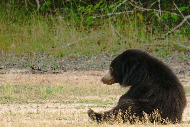 Wild Adventures Safari in Wilpattu