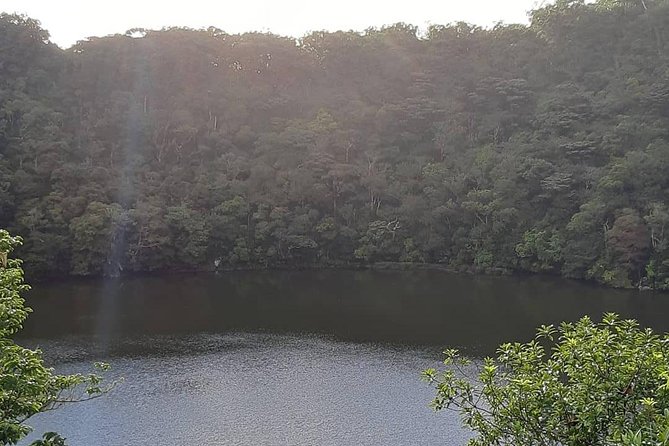 Wild Mauritius South Tour