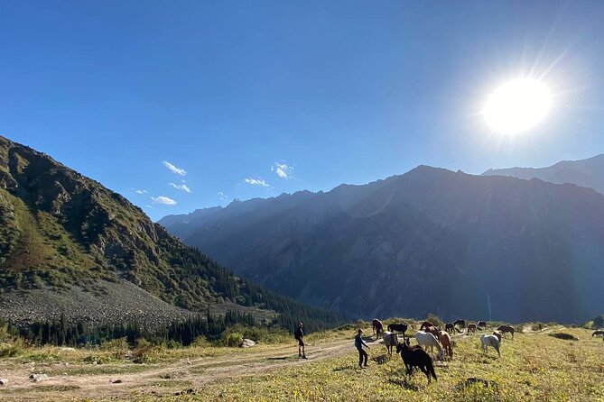 Wildlife Hiking Adventure in Ala Archa National Park - Reviews