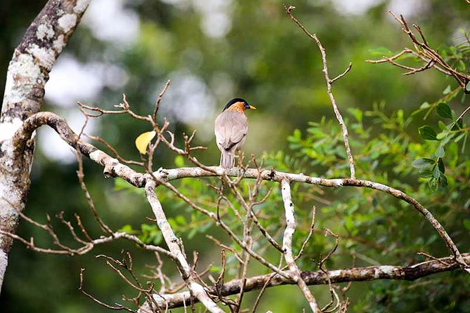 Wildlife Tour Covering Birds, Mammals and Whales (12 Days) - Itinerary Highlights