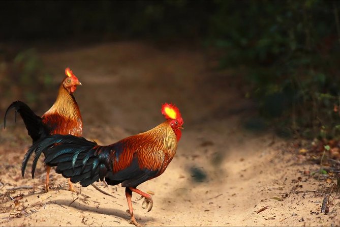 Wilpattu Safari Drive From Trincomalee, Nilaveli & Suburbs - Pickup and Drop-off Locations