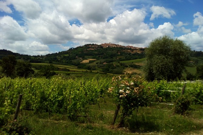 Wine and Cheese Tastings Southern Tuscany Shoreexcursion From Civitavecchia Port - Inclusions and Exclusions
