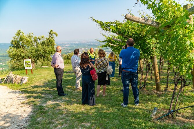 Wine and Food Tasting of Valpolicella and Amarone - Sample Menu
