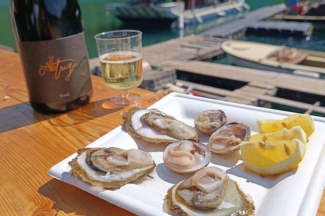 Wine and Oysters Private Guided Experience in Lim Bay - Detailed Itinerary