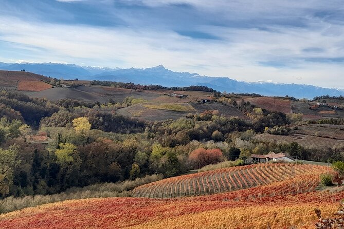 Wine and Typical Product Tasting Tour - Tasting Experiences