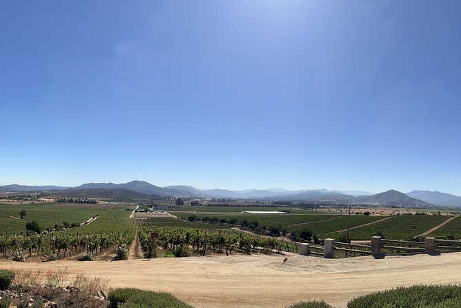 Wine Tasting Tour to Casablanca Valley (Wine Region) - Availability and Confirmation