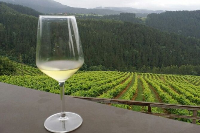 Wine Tour and Tasting at the Organic Winery in Basque Country - Inclusions and Experiences