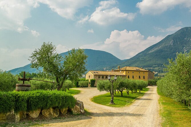 Wine Tour and Tasting on Garda Hills - Inclusions