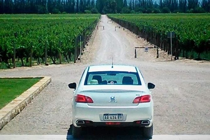 Wine Tour in Mendoza Uco Valley - Vineyard Tours Schedule