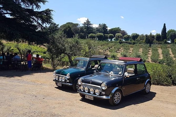 Winery Tour in Mini Cooper Classic Cabrio Wine Testing and Lunch - Scenic Stops Along the Route