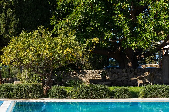 Winery Tour With Wine and Food Tasting in Noto - Meeting Point and Itinerary