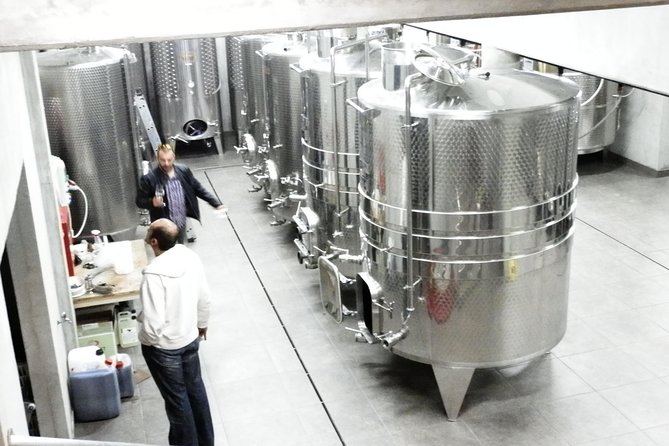 Wines Unknown - Istrian Nordinary Wine Tour - Transportation Details