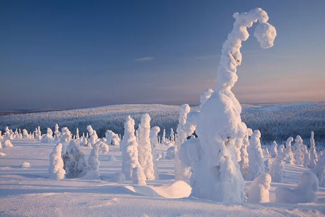 Winter Wonderland Hiking - Important Additional Information