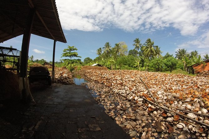 Work With Local Coir Mill