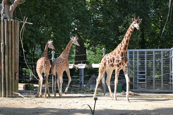 Wroclaw: Zoo With Private Transport and Tickets - Additional Details