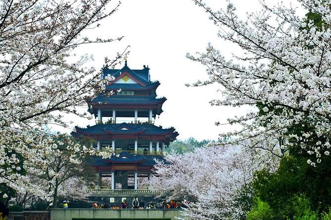 Wuxi Lingshan Buddhist Scenic Spot and Tai Lake Private Tour