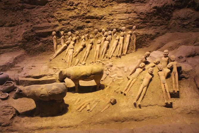 Xian Discovery of Qin and Han Dynasties - Additional Information and Requirements