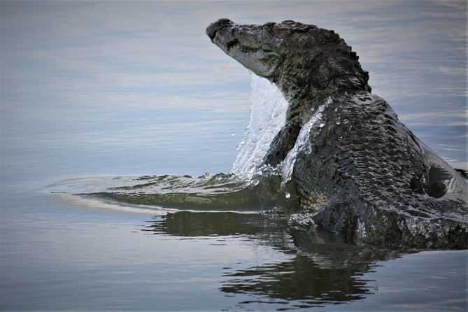 Yala National Park Jeep Safari - One Day Trip - Itinerary Breakdown