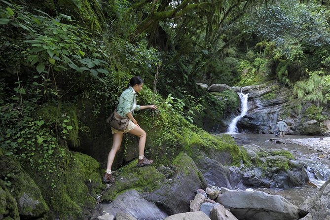 Yungas and El Rey National Park 4x4 Full Day Tour From Salta - Transportation and Amenities Included
