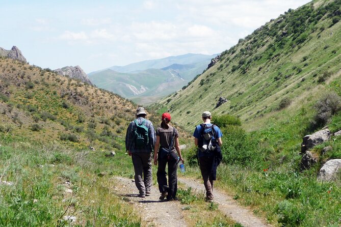 Yurt Stay and Hiking in the Nurata Mountains Tour - 2 Days - Pickup and Logistics