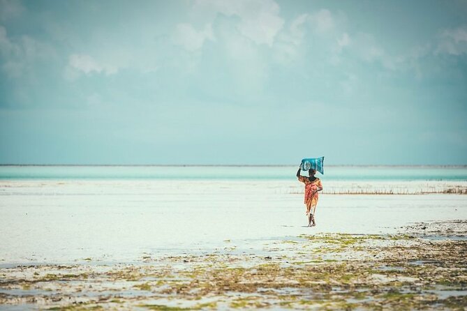Zanzibar: Kuza Cave & Seaweed Farm - Tour Overview