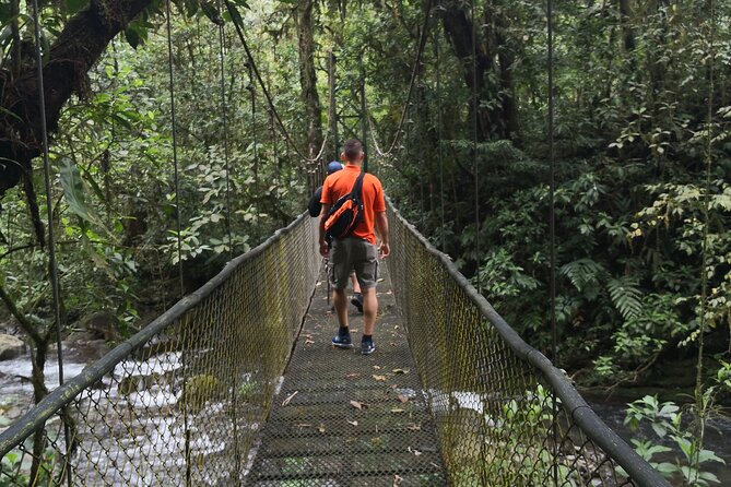 Zip Line Canopy Half Day Adventure Tour Near San Jose Costa Rica in San Ramon - Tour Features