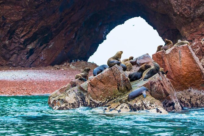 2d1n Paracas + Ica + Accommodation - Good To Know