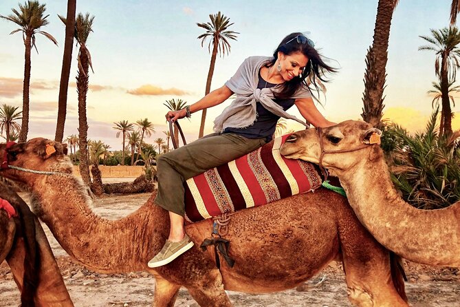 2H Camel Ride in Marrakech - Good To Know