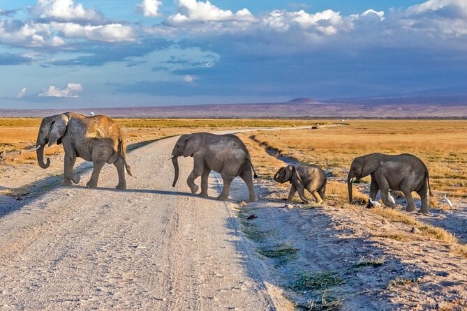 3 Day Amboseli Safari - Good To Know
