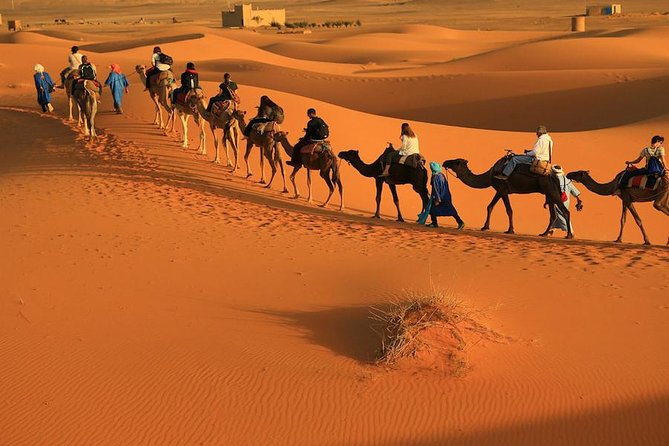 3 Day Desert Tour From Essaouira - Good To Know