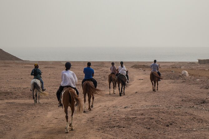 3-Day Horseback Riding Expedition in the Sinai Desert - Good To Know