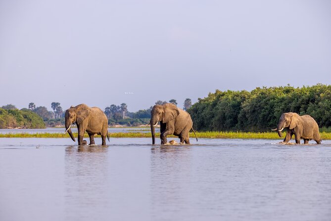 3 Day Nyerere NP Safari Adventure From Zanzibar to Selous - Good To Know