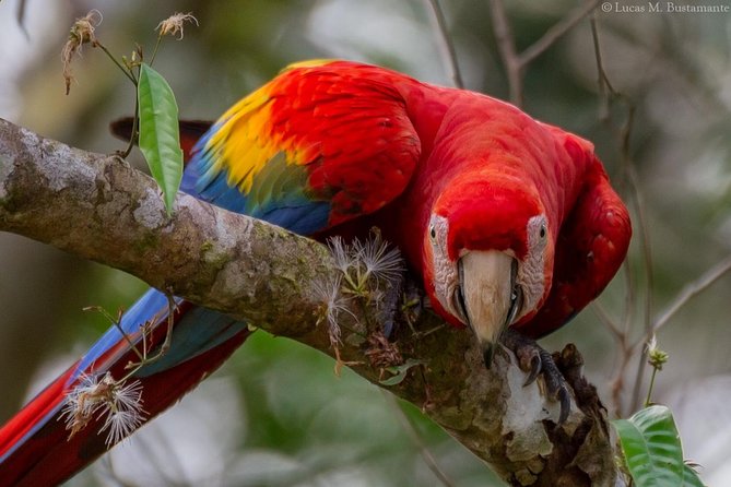 3 Day - Posada Amazonas Classic Program Group Tour - Good To Know