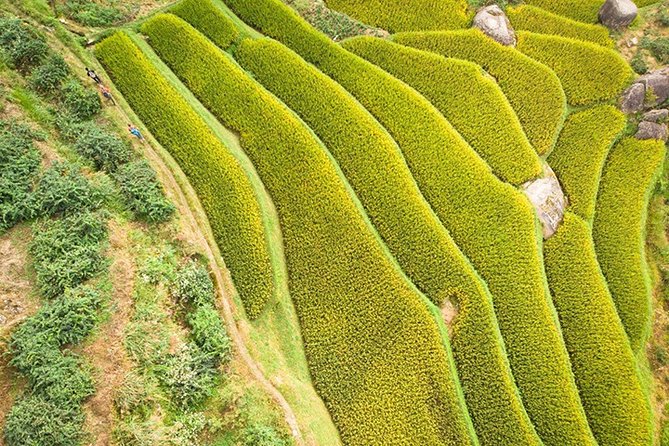 3- Day Private Hiking Trip to Xuefeng Mountain With Accommondation - Good To Know