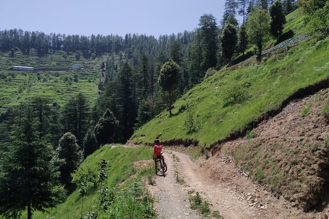 3-Day Private Mountain Bike Camp in Shimla - Good To Know