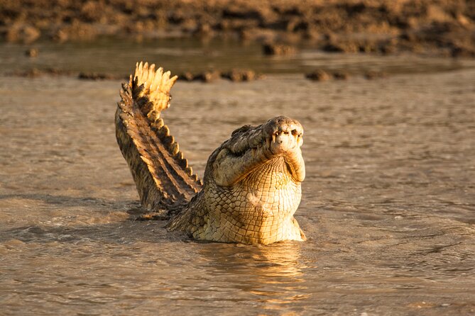 3 Day Private Tour to Selous Nyerere National Park From Zanzibar - Good To Know