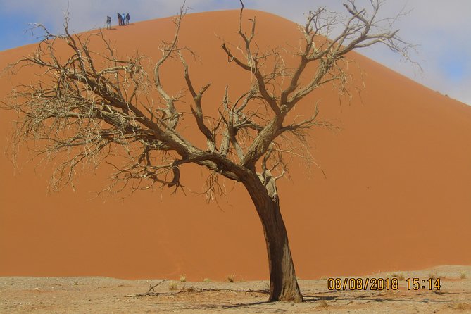 3 Day Sossusvlei Safari (Accommodated) Transfer - Good To Know