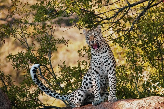 3 Days 2 Nights Amboseli Daily Departures - Good To Know