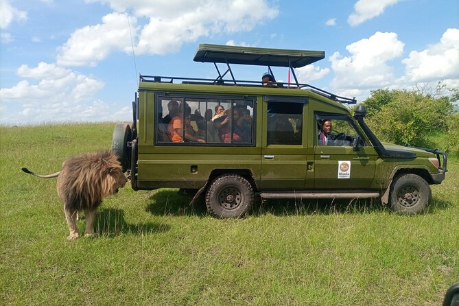 3 Days, 2 Nights Masai Mara Kenya Safari From Nairobi - Safari Itinerary
