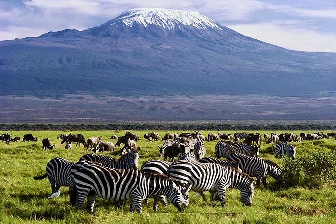 3 Days Amboseli & Tsavo East Jeep Safari From Diani (Min 2 Pax) - Good To Know