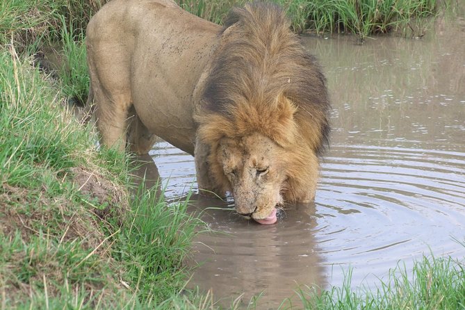 3 Days Amboseli - Good To Know