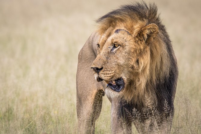 3-Days Central Kalahari Game Reserve - Good To Know