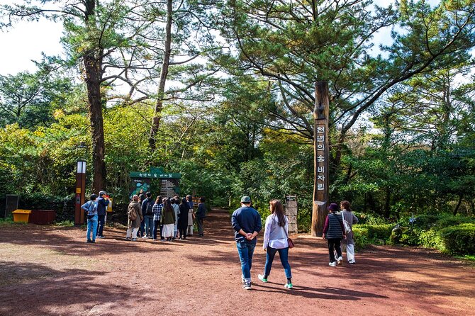 3 Days Guided Wellness Holiday Tour in Jeju - Good To Know
